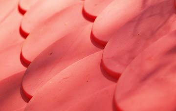 Layerthorpe plastic roof costs