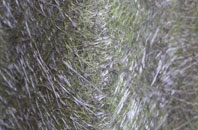 Layerthorpe fibreglass roof work